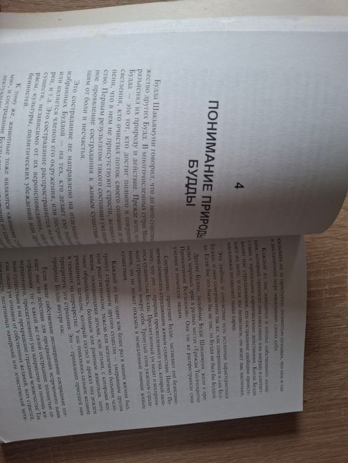 Медицинское Учение Рэйки. Введение в тайные внутринне практики Лама Еше 2080 фото