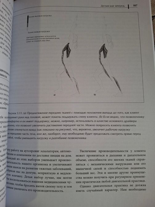 Функциональная анатомия движения. Руководство по анализу биомеханики и работе с миофасциальными меридианами Эрлз 0535 фото