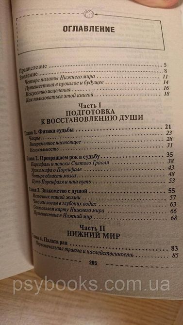 ВИКОРИСТАННЯ ПРОШЛОГО Й ВИЧЕЛЕННЯ БУДУЧНОГО З ДОПОМОГА ПРАКТИКИ ВОСТАННАННЯ ДУШИ Віллольдо Бук 1838406656 фото