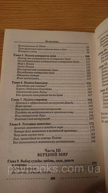 ВИКОРИСТАННЯ ПРОШЛОГО Й ВИЧЕЛЕННЯ БУДУЧНОГО З ДОПОМОГА ПРАКТИКИ ВОСТАННАННЯ ДУШИ Віллольдо Бук 1838406656 фото