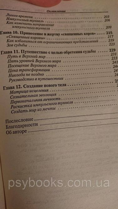 ВИКОРИСТАННЯ ПРОШЛОГО Й ВИЧЕЛЕННЯ БУДУЧНОГО З ДОПОМОГА ПРАКТИКИ ВОСТАННАННЯ ДУШИ Віллольдо Бук 1838406656 фото