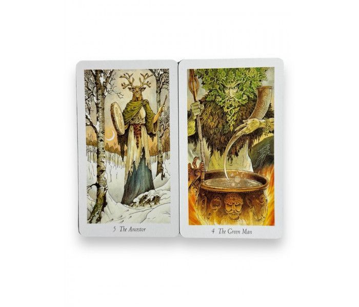 Таро Дикого Лісу Wild Wood Tarot без інструкції 1537 фото
