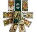 Таро Дикого Лісу Wild Wood Tarot без інструкції 1537 фото 4