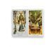 Таро Дикого Лісу Wild Wood Tarot без інструкції 1537 фото 2