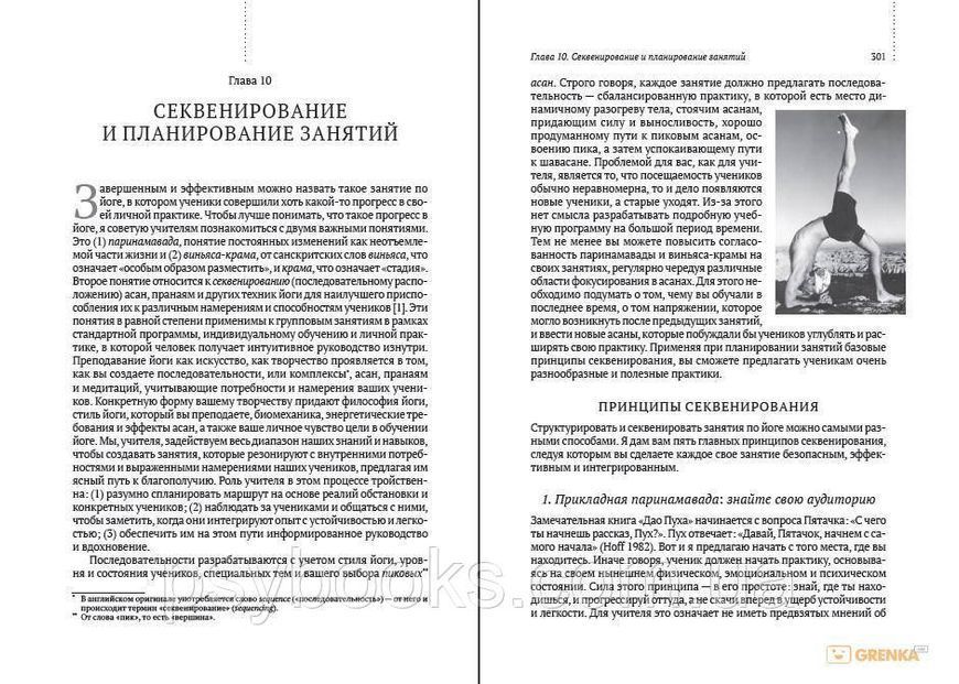 ПРЕПОДАВАНИЕ ЙОГИ: ВАЖНЕЙШИЕ ПРИНЦИПЫ И МЕТОДЫ Марк Стивенс 1584892527 фото