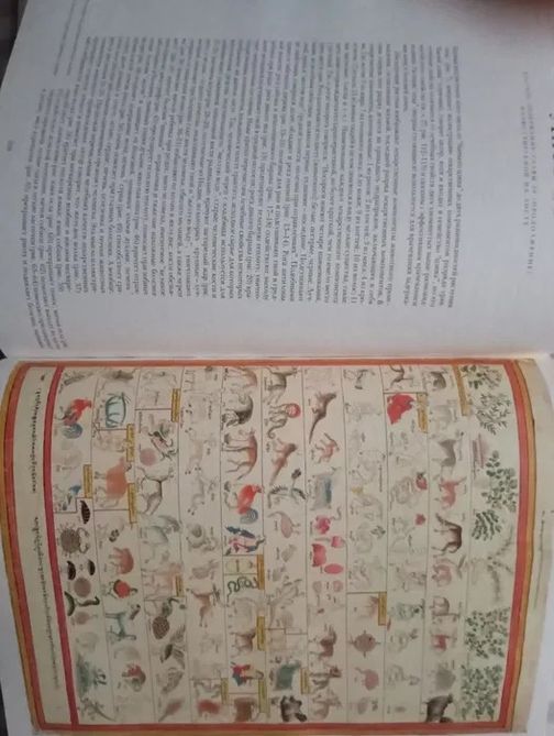 Атлас тибетской медицины. Свод иллюстраций к тибетскому медицинскому трактату XVII века "Голубой берилл" |Парфинович 1093 фото