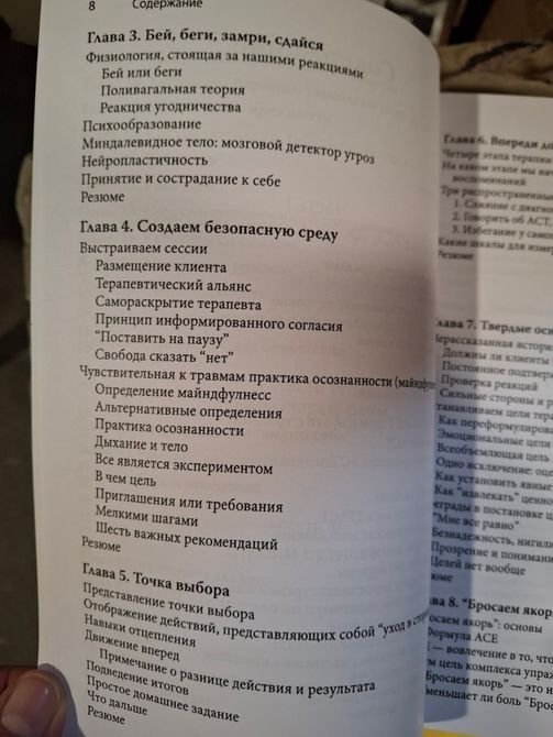 ACT, фокусированная на травме. Практическое руководство по работе с разумом, телом и эмоциями | Хэррис Расс т28 фото
