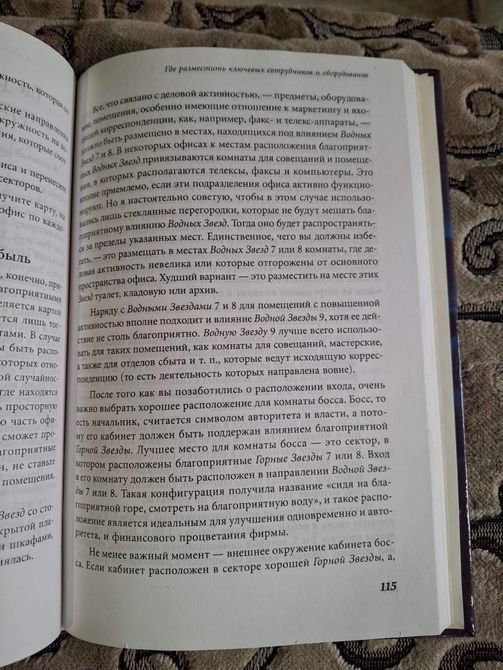 Фэн - шуй и анализ Судьбы. Практическое руководство для деловых людей Рэймонд Ло 0194 фото