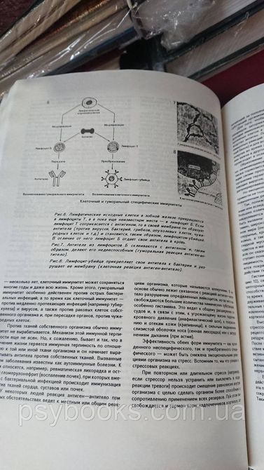 Эзотерика. Парапсихология. Учебный курс Мюнхенского Института Парапсихологии Букинистика 1825522901 фото