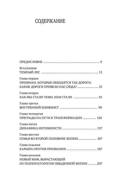 Набуття сенсу в другій половині життя. Як нарешті стати по-справжньому дорослим. Холліс Джеймс 1468 фото