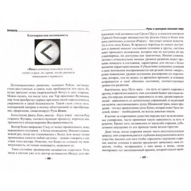 Книга Руны и векторное описание мира. Энмеркар 0406 фото