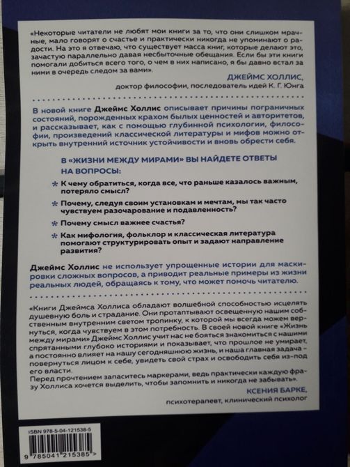 Життя поміж світами. Як знайти ресурс у собі, коли все навколо розвалюється Джеймс Холліс 1031 фото