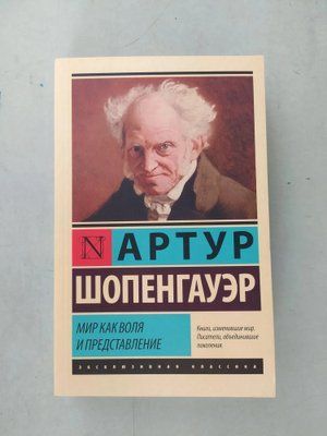 Артур Шопенгауэр Мир как воля и представление 165 фото