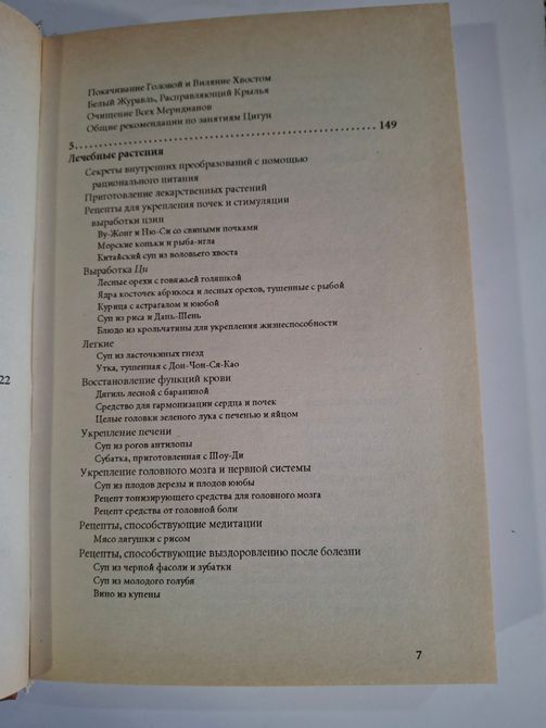 Ден Мін Дао Воїн на шляху Знання введення в Дао повсякденному житті 0347 фото