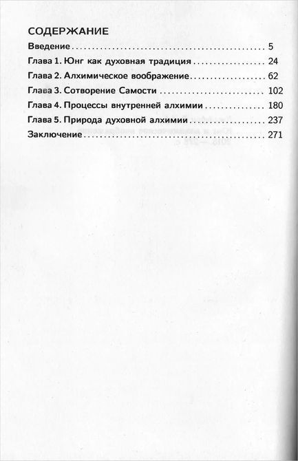 Юнг и алхимическое воображение Рафф 0856 фото