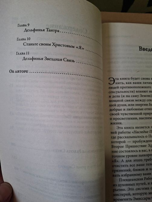 Амора Гуань Спадщина Плеяд, Плеядинська тантра, Плеядинська історія людства 0704 фото
