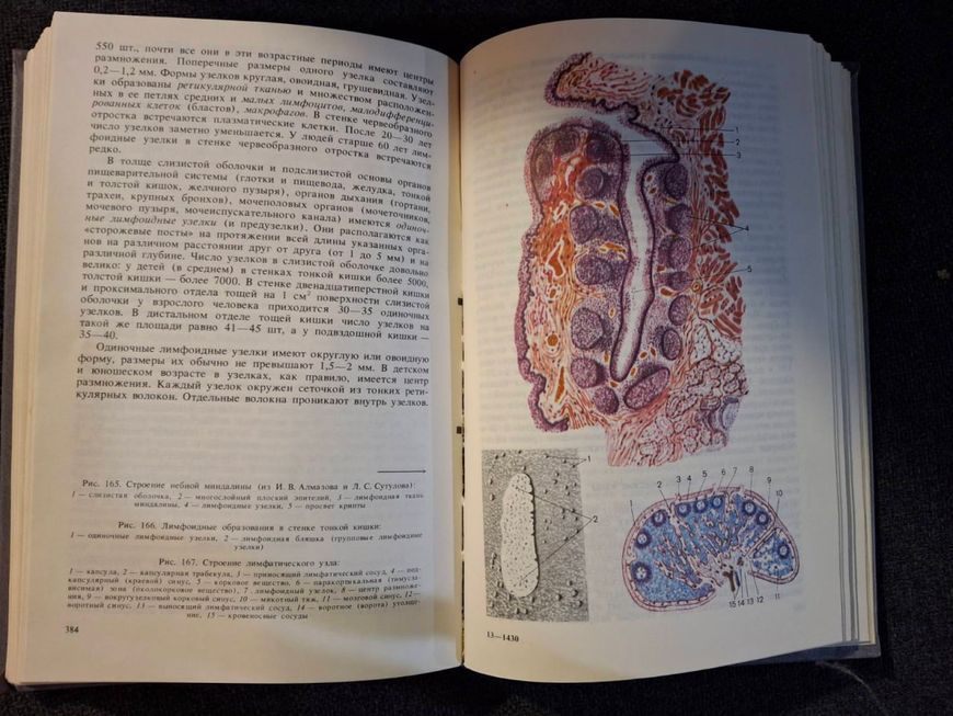 Книга Анатомия человека Сапин Билич т120 фото