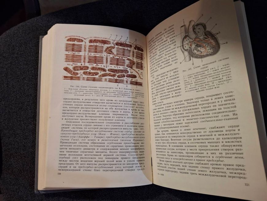 Книга Анатомия человека Сапин Билич т120 фото