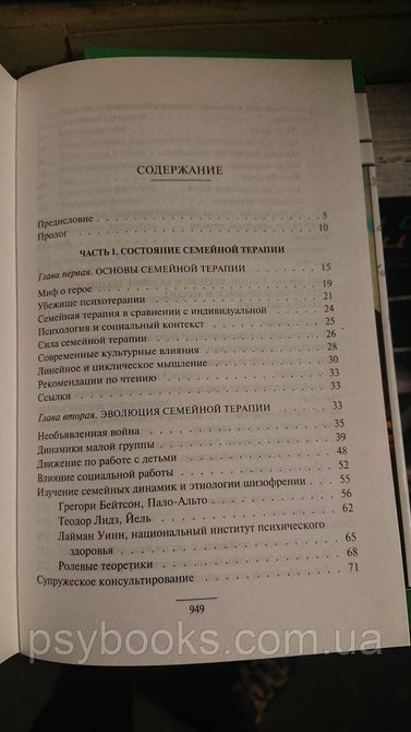 Семейная терапия: концепции и методы - Майкл П. Николс Шварц Лимитированное издание.Букинистика 1814429487 фото