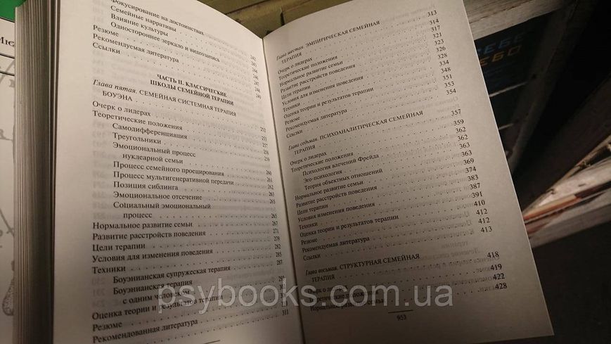 Семейная терапия: концепции и методы - Майкл П. Николс Шварц Лимитированное издание.Букинистика 1814429487 фото