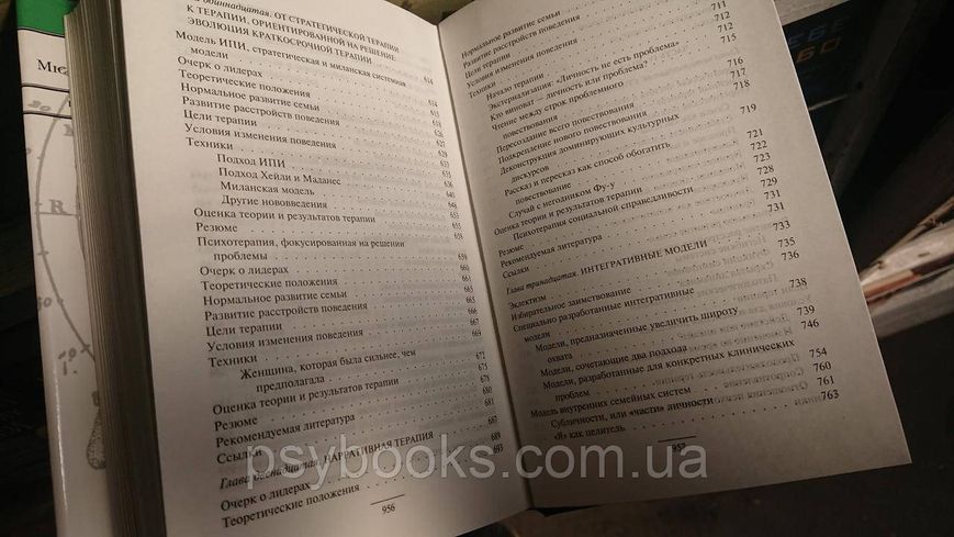 Семейная терапия: концепции и методы - Майкл П. Николс Шварц Лимитированное издание.Букинистика 1814429487 фото