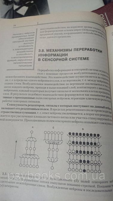 Психофизиология Александров Букинистика 1831655972 фото