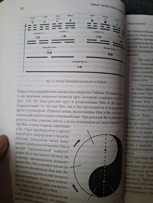 Тайцзи-цюань. Классический стиль Ян. Полная форма и Цигун Ян Цзюнминь 1584 фото