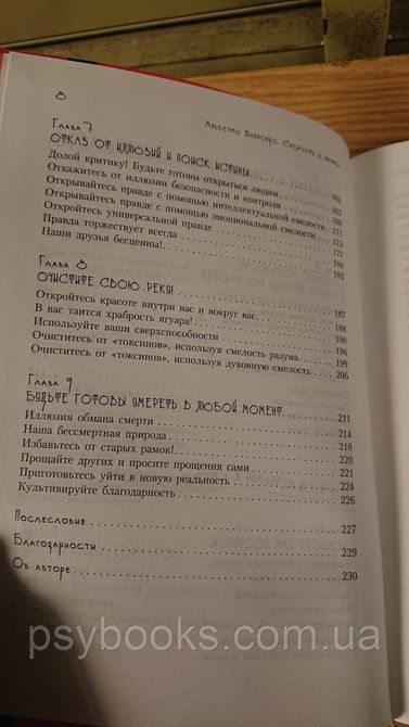 Альберто Виллолдо: Смелость в мечтах. Как шаманы превращают мечты в реальность Букинистика 1836882173 фото