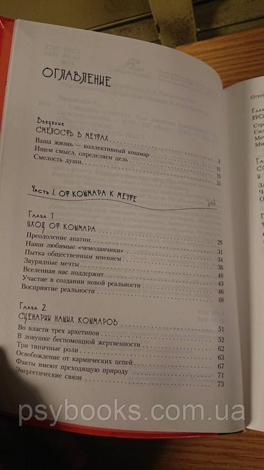 Альберто Виллолдо: Смелость в мечтах. Как шаманы превращают мечты в реальность Букинистика 1836882173 фото