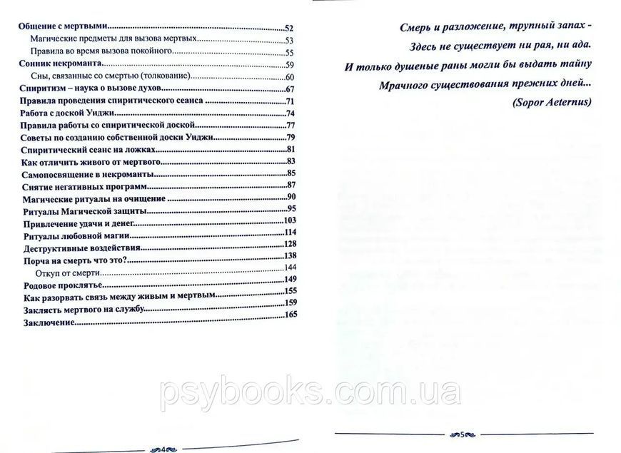 Е.Анисимова Книга Ведьмы. Основы некромантии 1624040733 фото